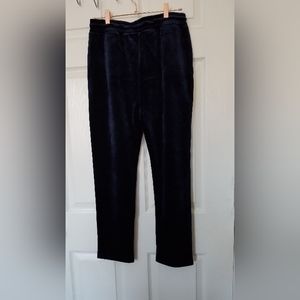 Velvet Pants, blue navy, 80% cotton, stretch, Skinny leg, Women US size M, NEW